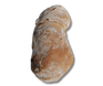 Pão Mini
